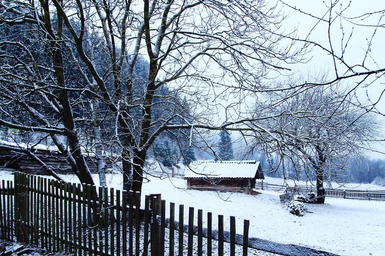 Sadyba Kazkove Dzherelo Verkhovyna Exterior foto