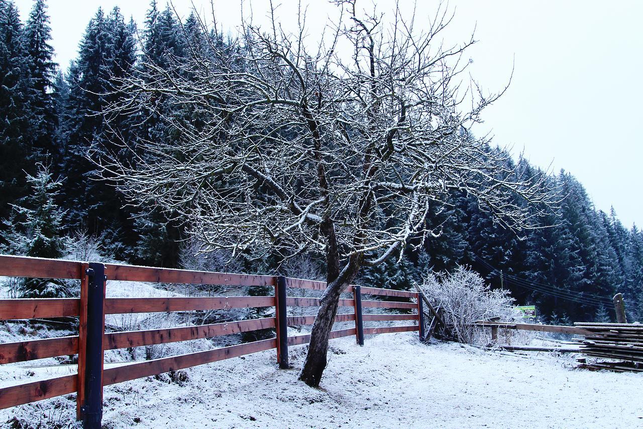 Sadyba Kazkove Dzherelo Verkhovyna Exterior foto
